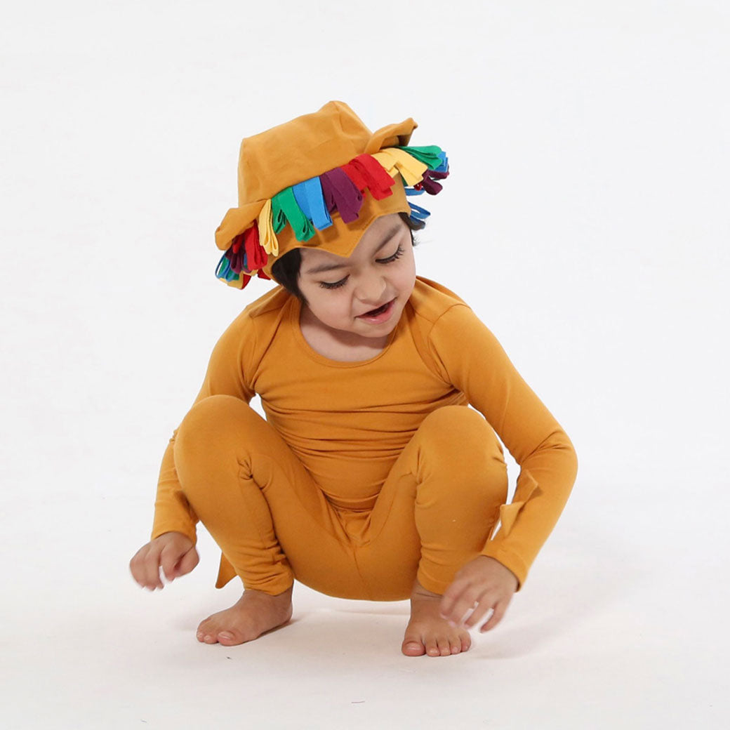 Rainbow Lion Pajama Costume
