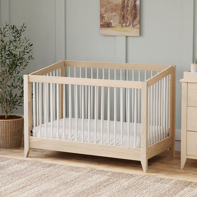 Babyletto's Sprout 4-in-1 Convertible Crib in a room next to a plant and dresser  in -- Color_Washed Natural / White
