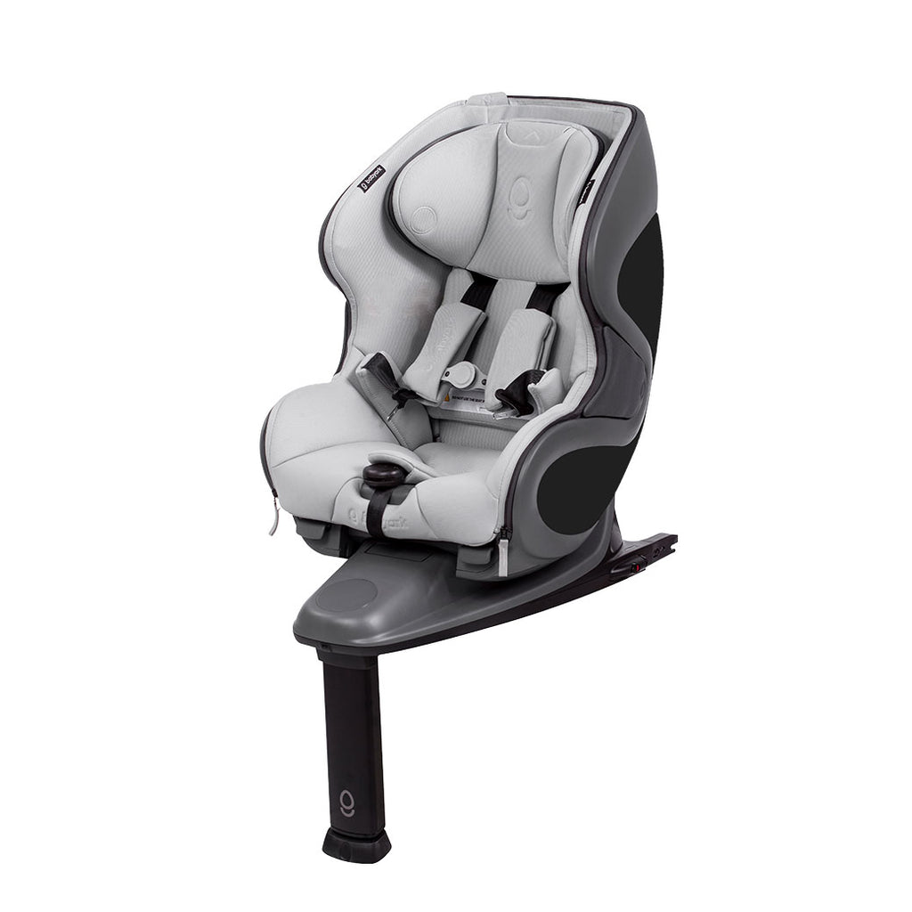 Babyark Classic Convertible Car Seat Modern Nursery™