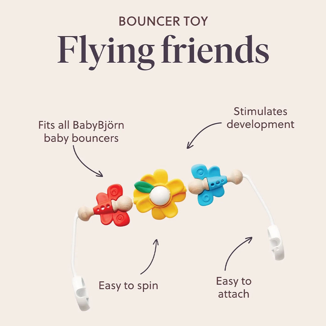Toy For Bouncer