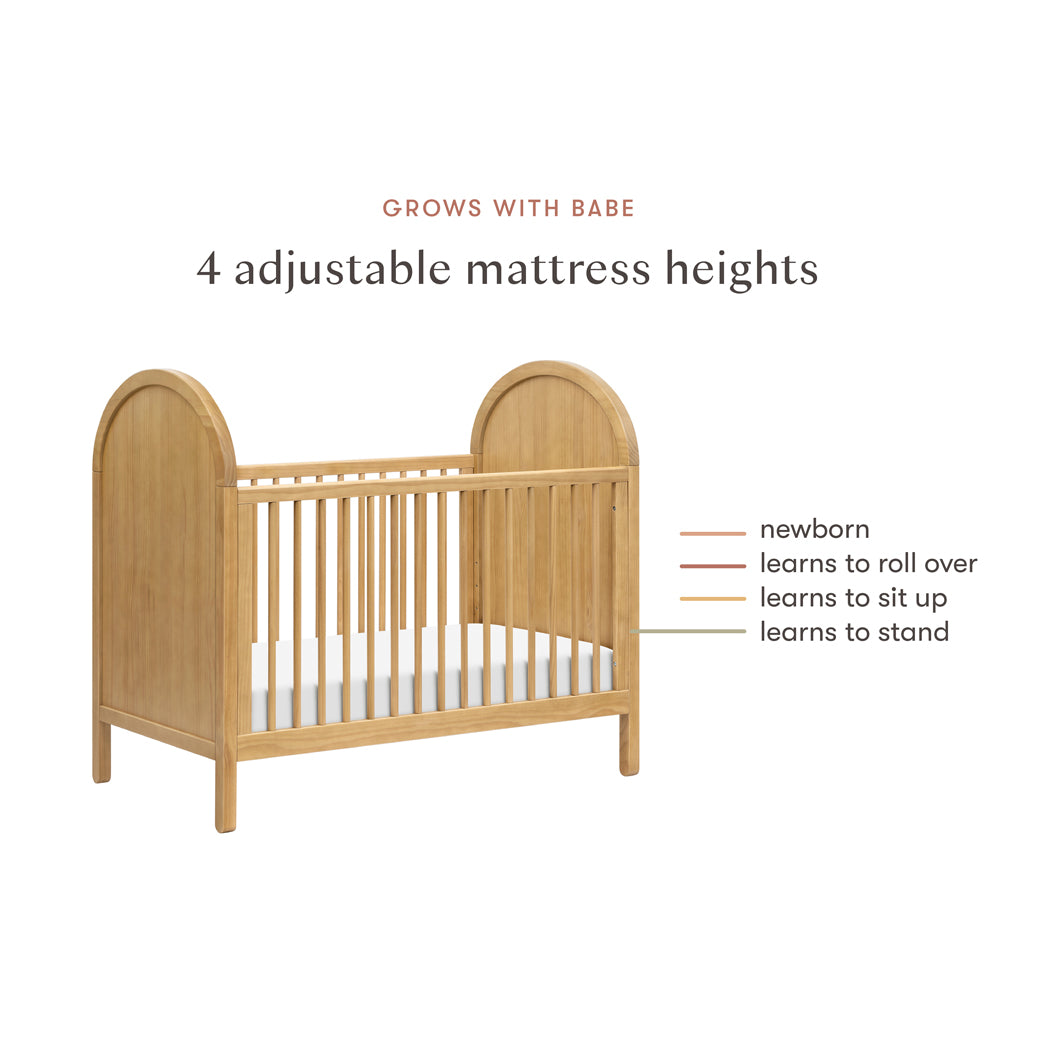 Bondi Cane 3-in-1 Convertible Crib with Toddler Bed Conversion Kit