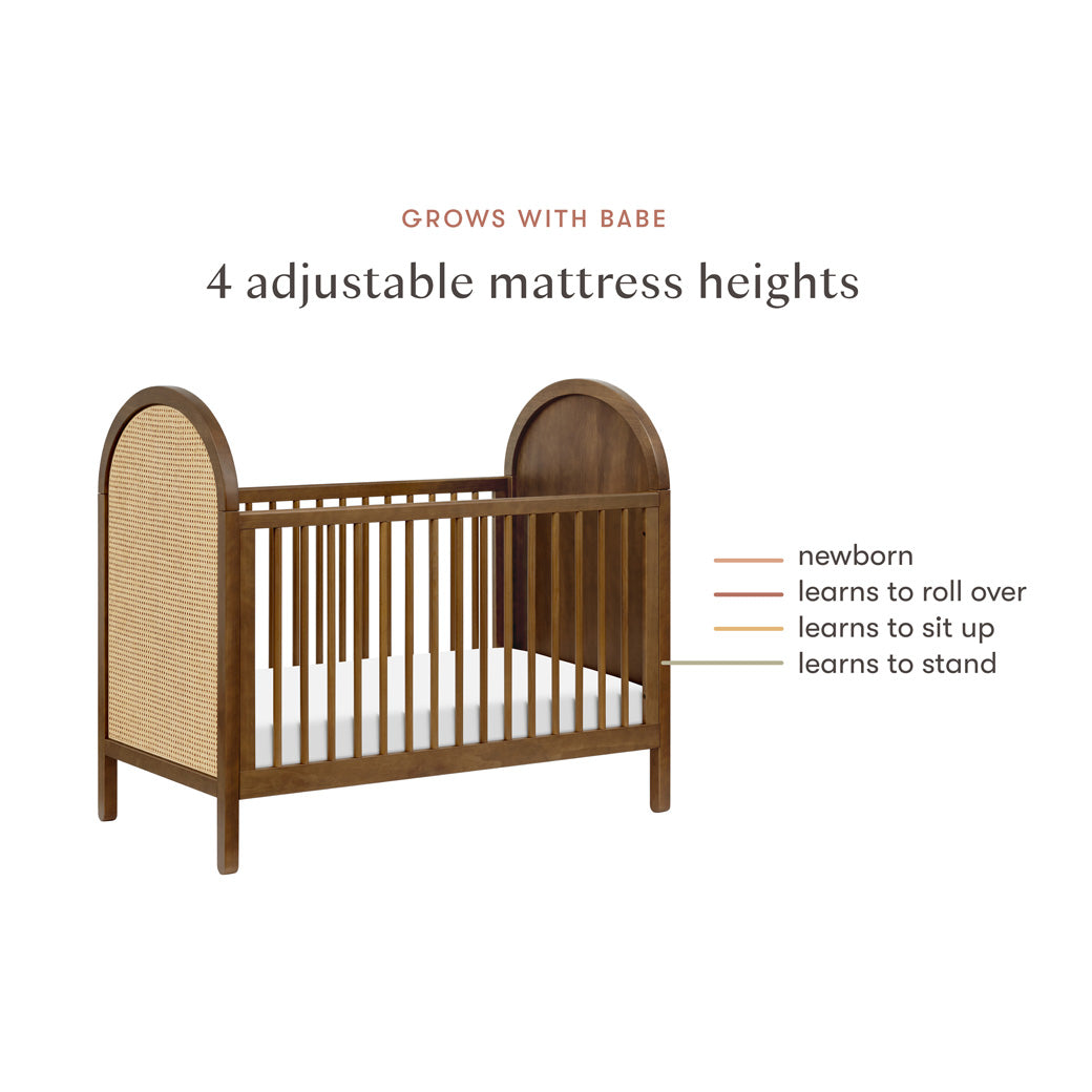 Bondi Cane 3-in-1 Convertible Crib with Toddler Bed Conversion Kit