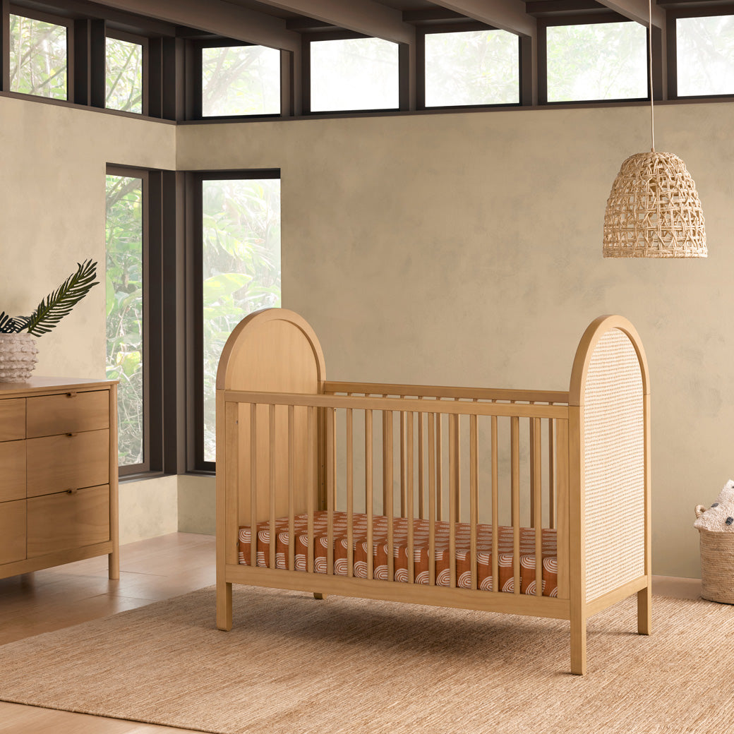 Bondi Cane 3-in-1 Convertible Crib with Toddler Bed Conversion Kit