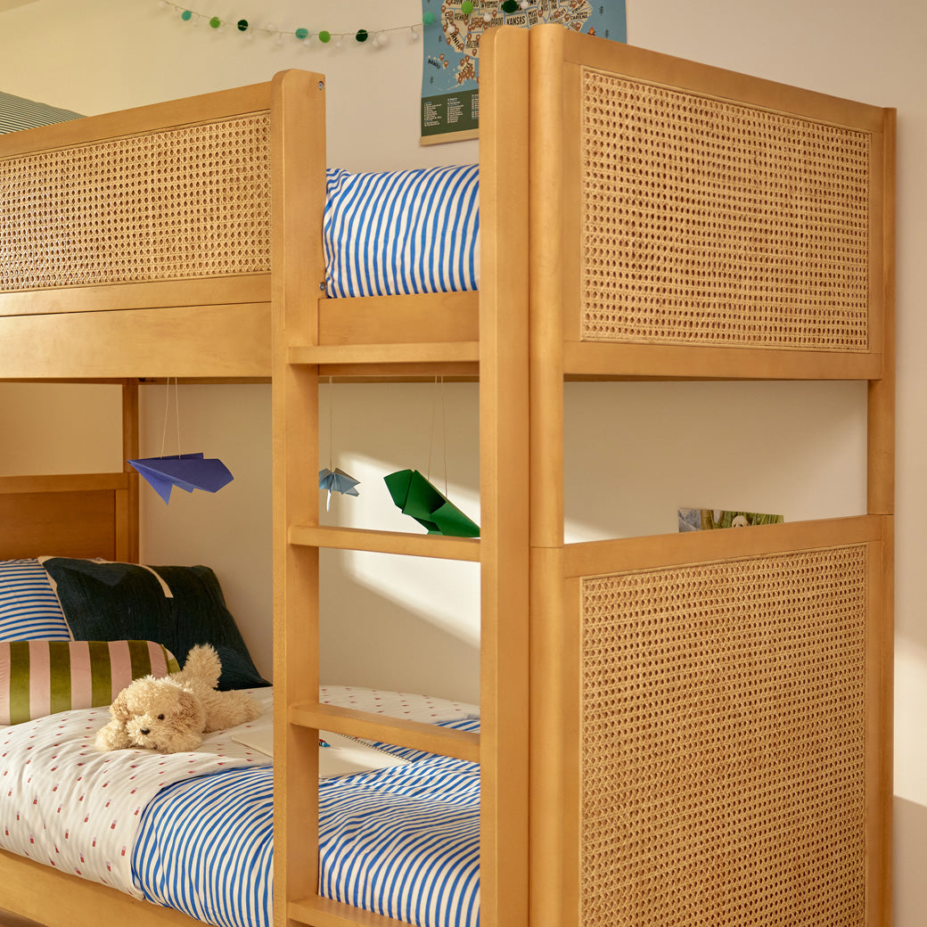 Bondi Cane Convertible Bunk Bed