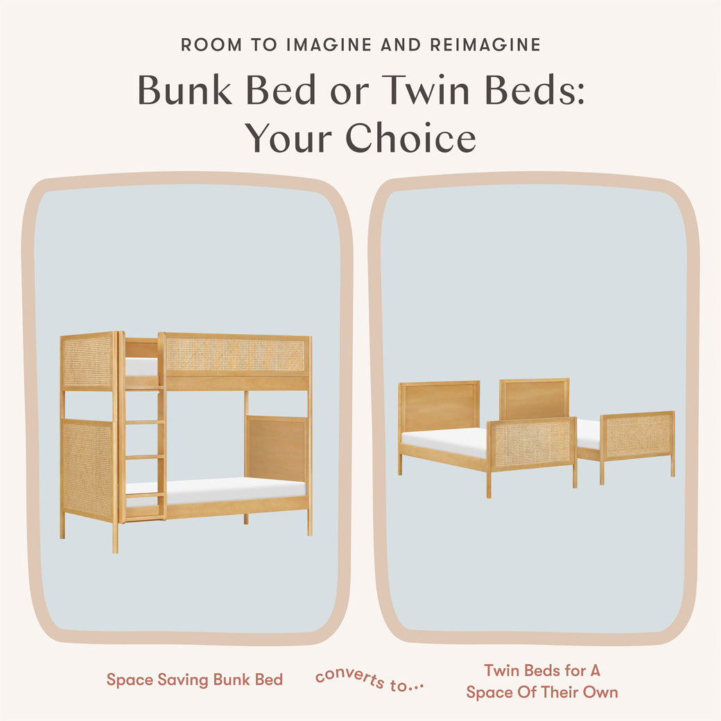 Bondi Cane Convertible Bunk Bed