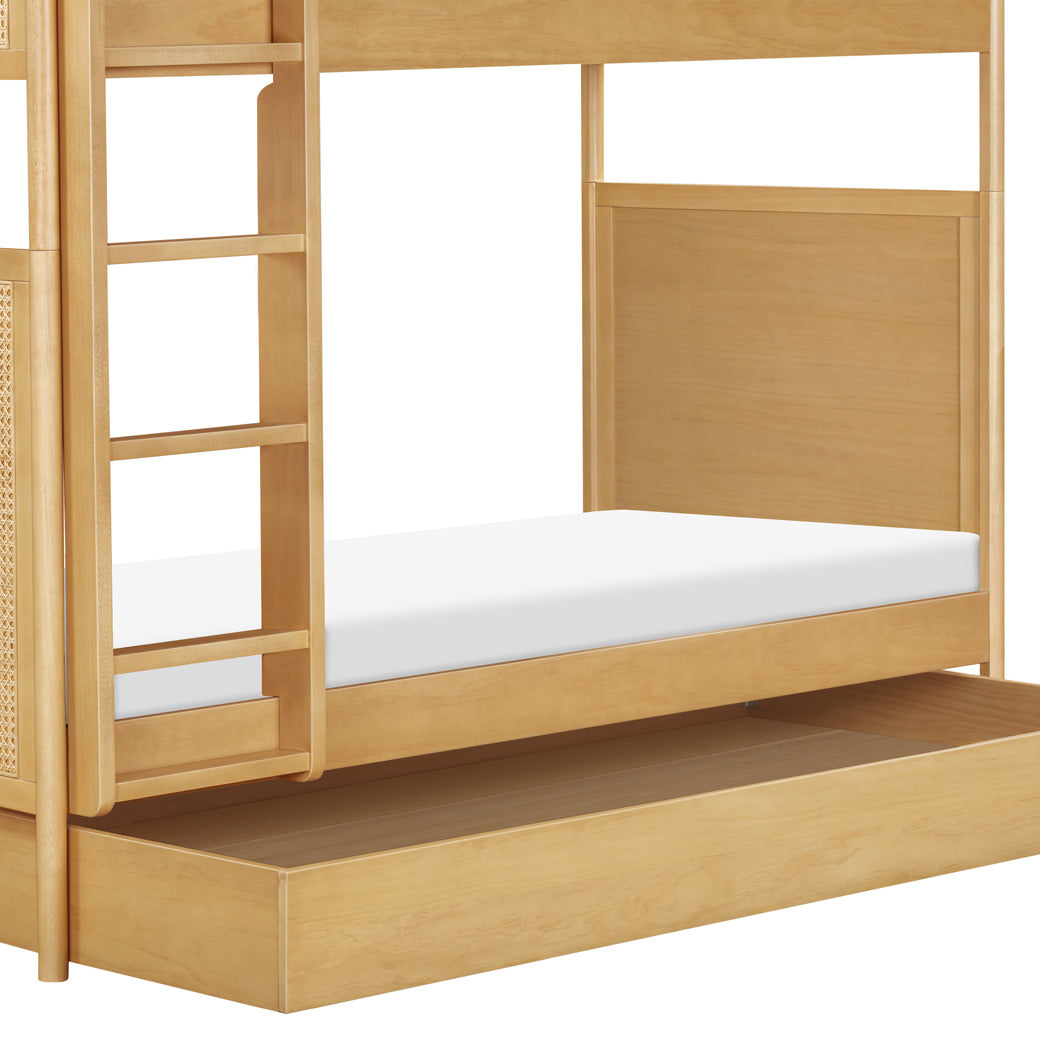 Bondi Cane Convertible Bunk Bed