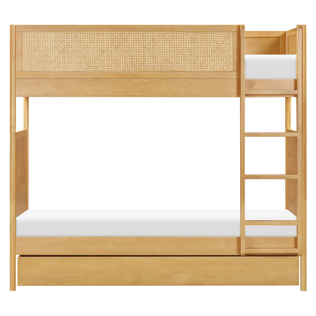 Bondi Cane Convertible Bunk Bed