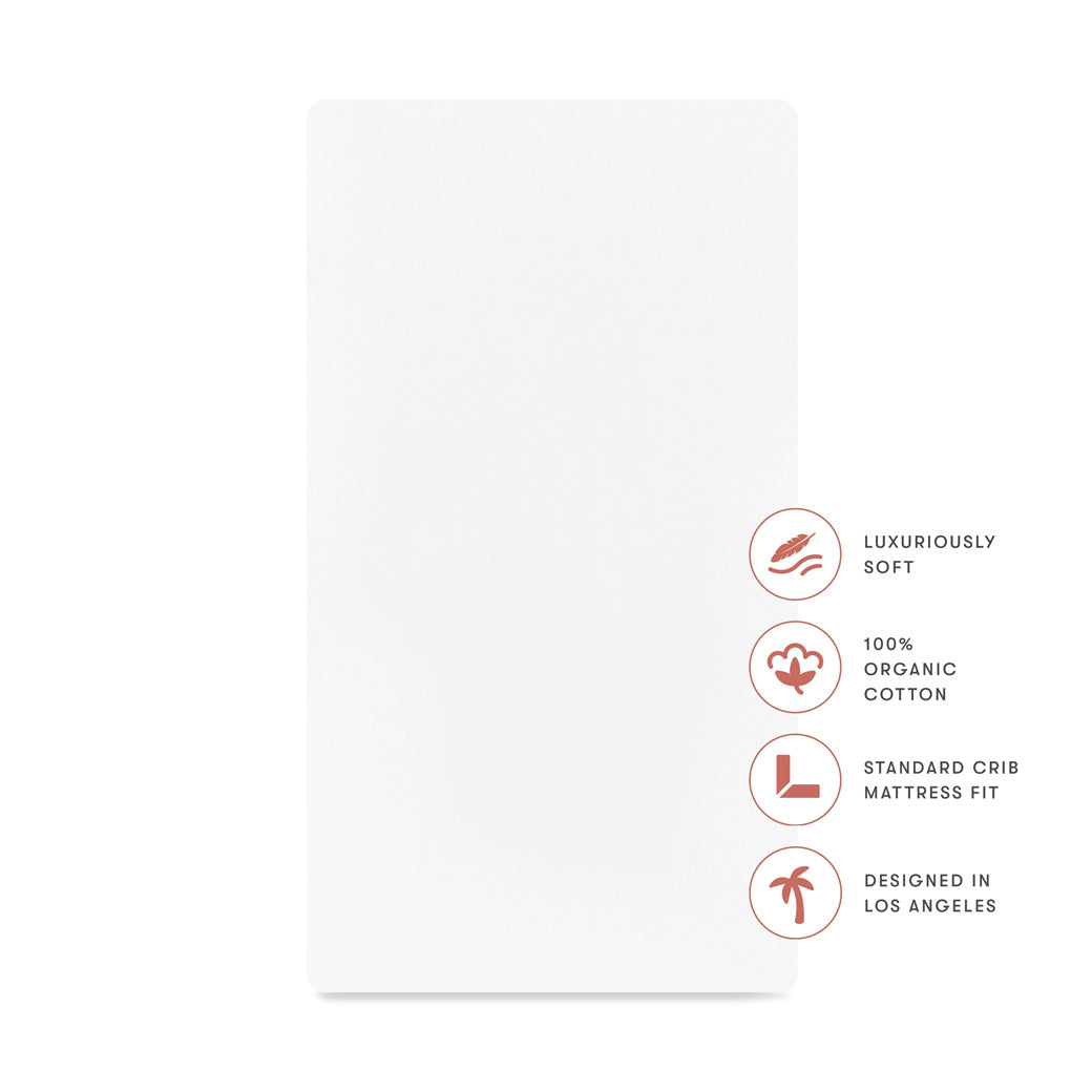 Crib Sheet in GOTS Certified Organic Brushed Cotton