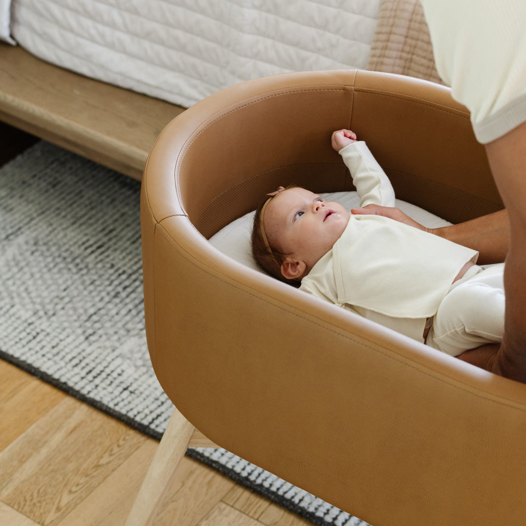 Closeup of dad placing a baby into the Babyletto GATHRE Capsule Bassinet in -- Color_Camel