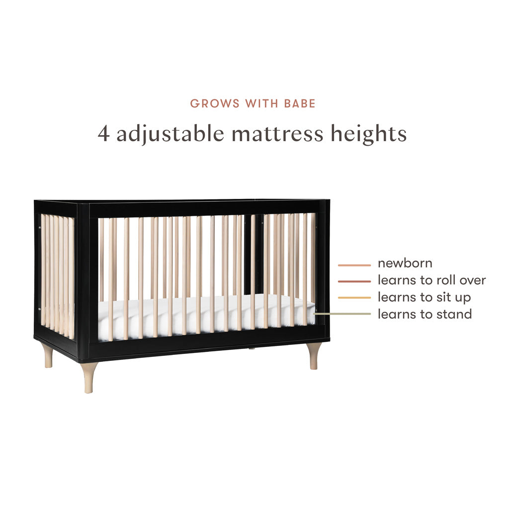 Mattress heights features of Babyletto Lolly 3-in-1 Crib in -- Color_Black