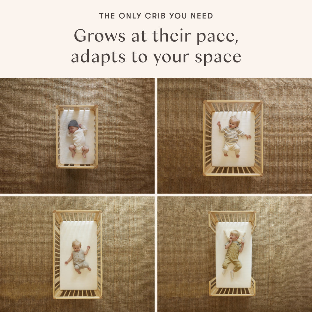 Pogo 8-in-1 Convertible Crib with All-Stages Conversion Kits