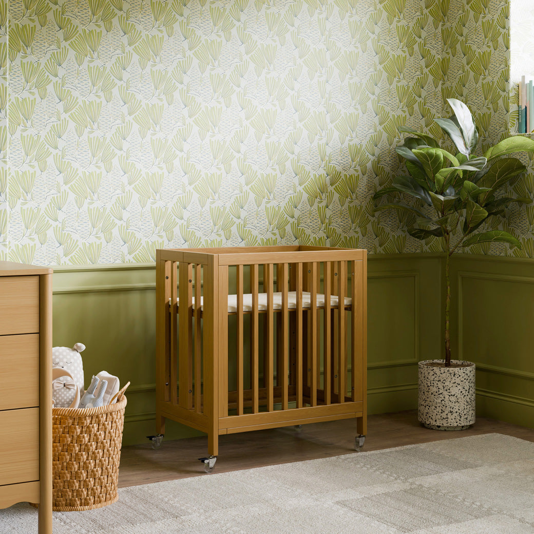 Rolli 9-in-1 Convertible All-Stages Crib with Bassinet & Toddler Bed Conversion Kits