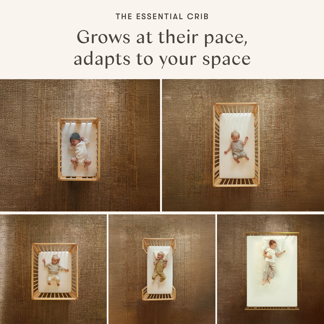 Rolli 9-in-1 Convertible All-Stages Crib with Bassinet & Toddler Bed Conversion Kits