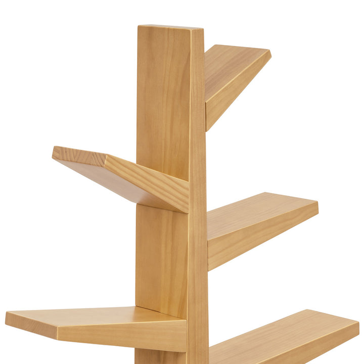 Spruce Tree Bookcase