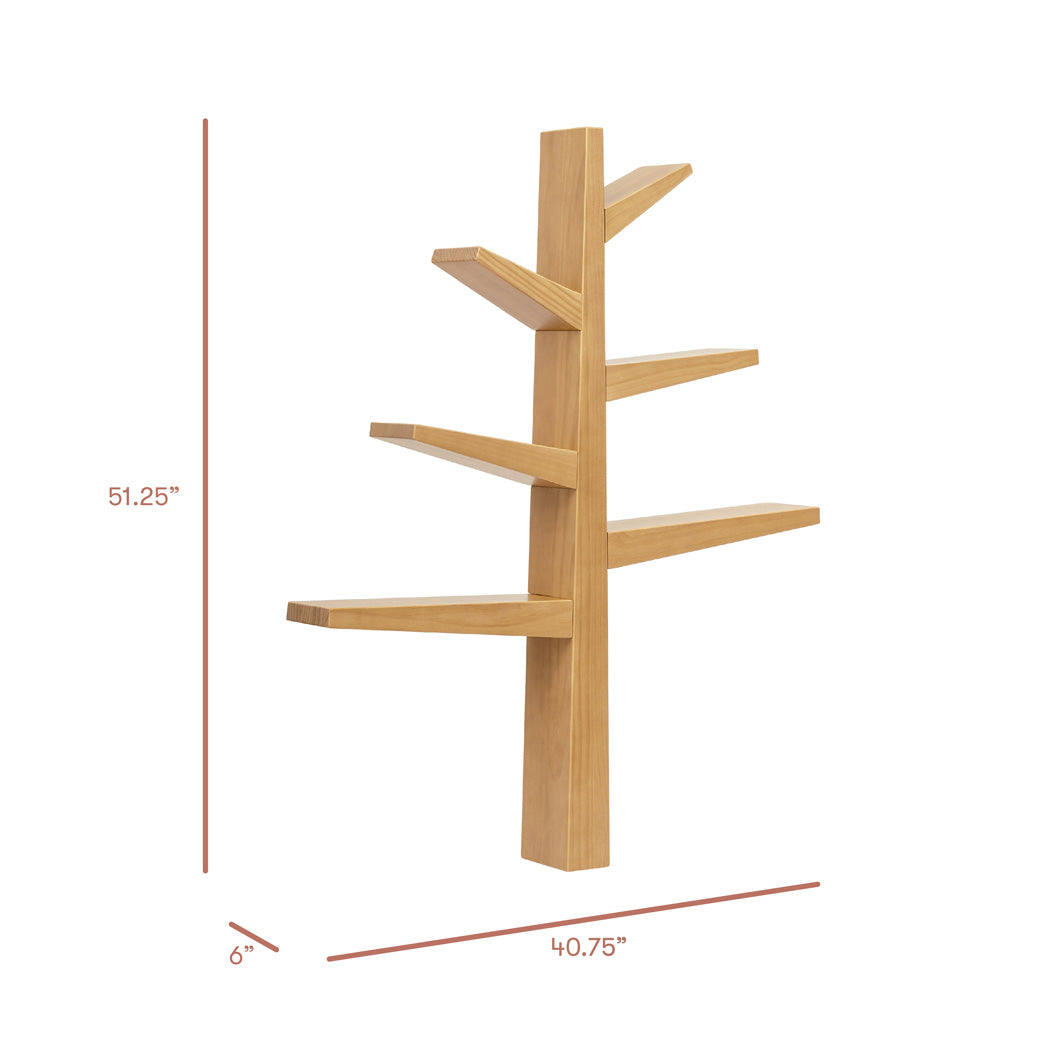 Spruce Tree Bookcase