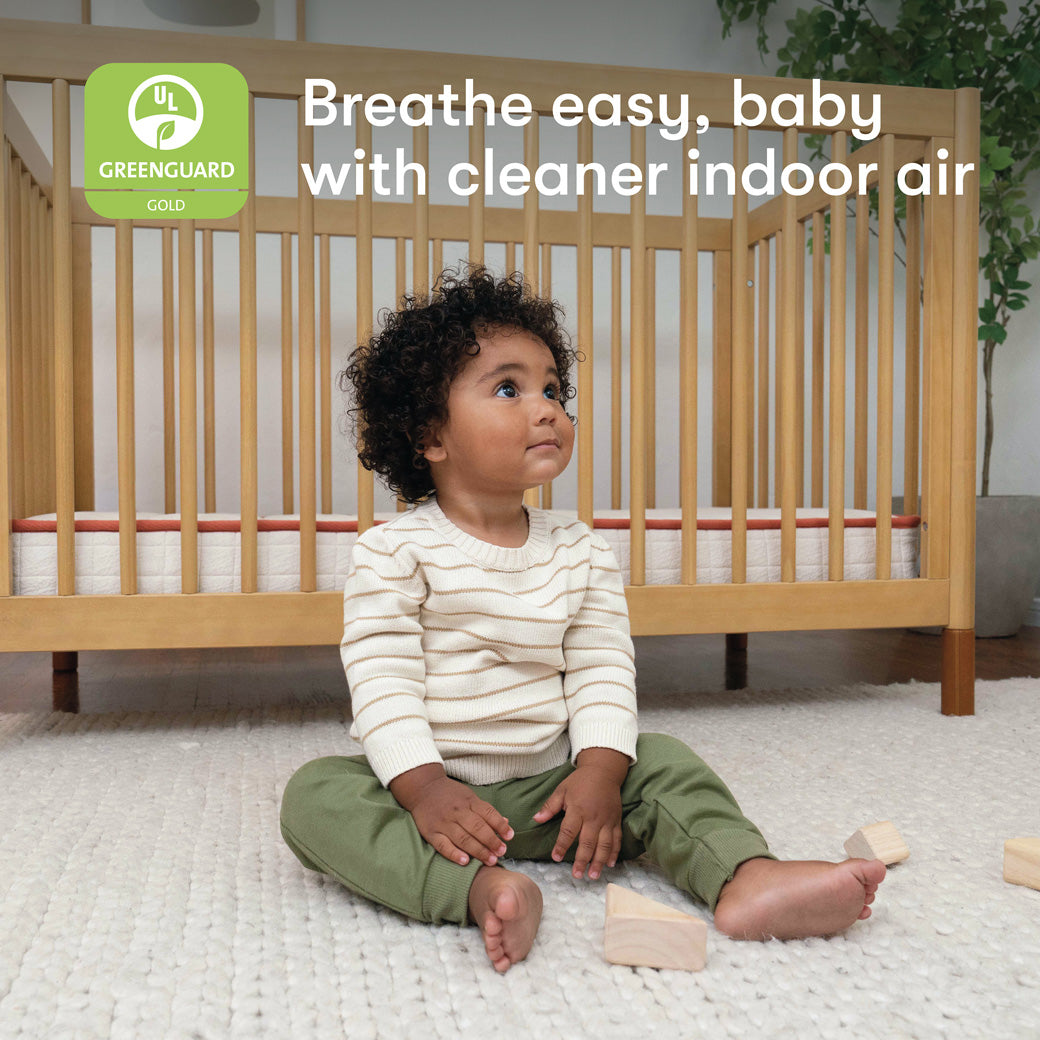 Avocado Dual-stage, Organic & Non-Toxic Crib Mattress