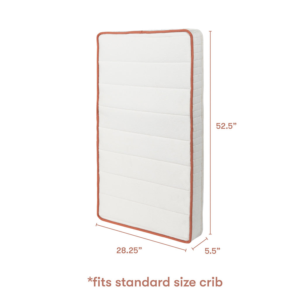 Avocado Dual-stage, Organic & Non-Toxic Crib Mattress