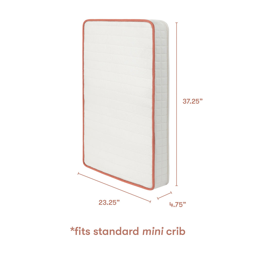 Avocado Organic Mini Crib Mattress