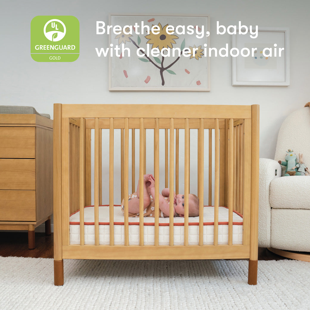 Avocado Organic Mini Crib Mattress