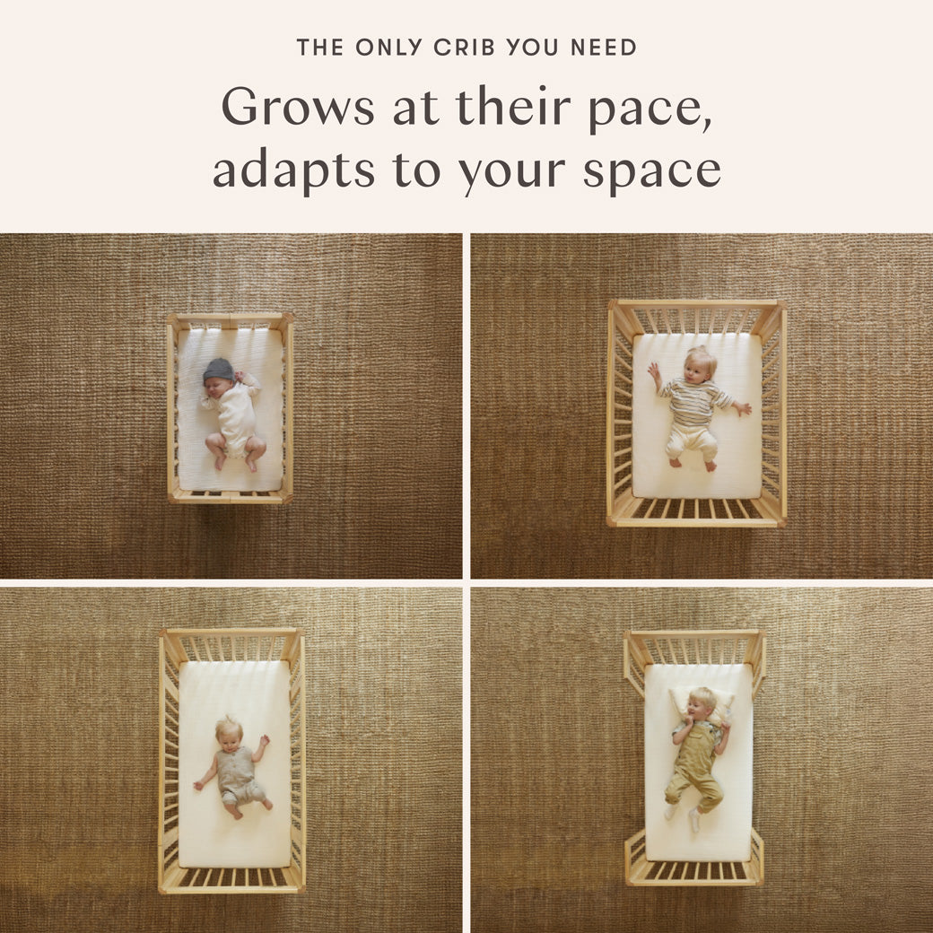 Yuzu 8-In-1 Convertible Crib With All Stages Conversion Kits