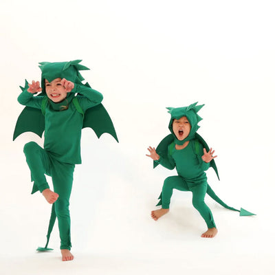 Dragons and Dinosaurs Pajama Costume