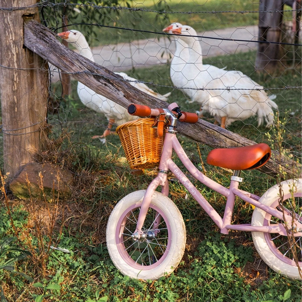 First Go Balance Bike