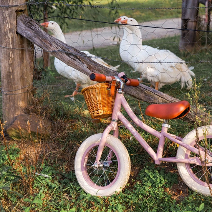 First Go Balance Bike