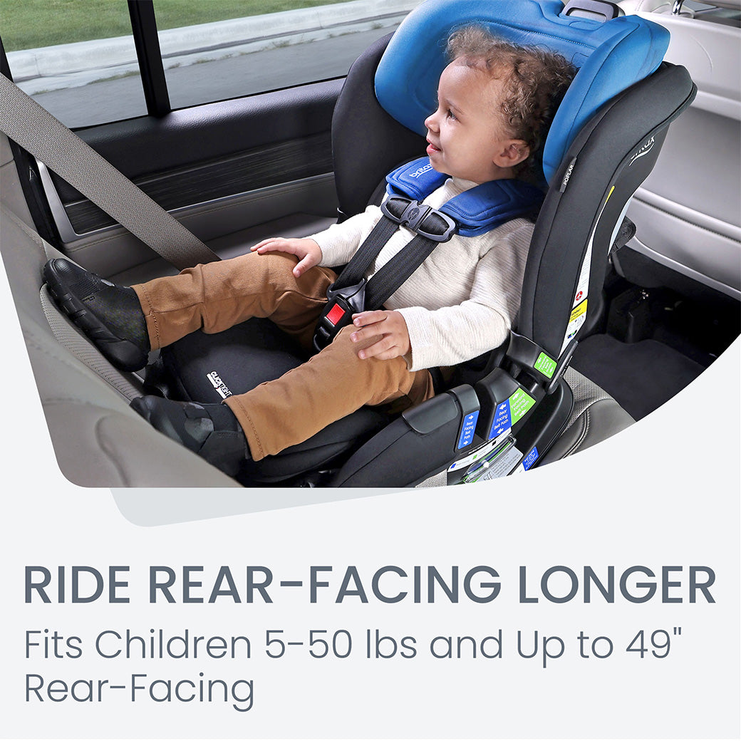 Poplar Convertible Car Seat