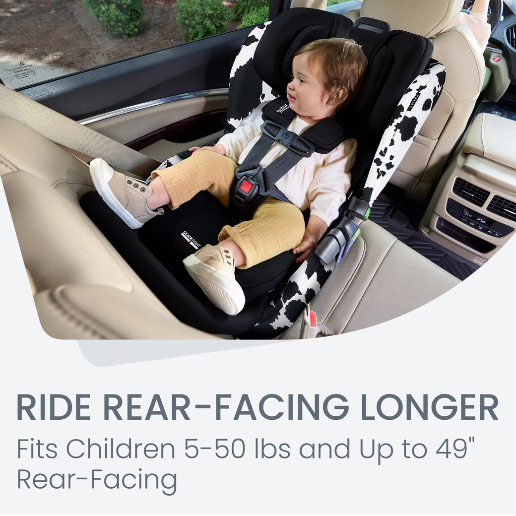 Poplar S Convertible Car Seat