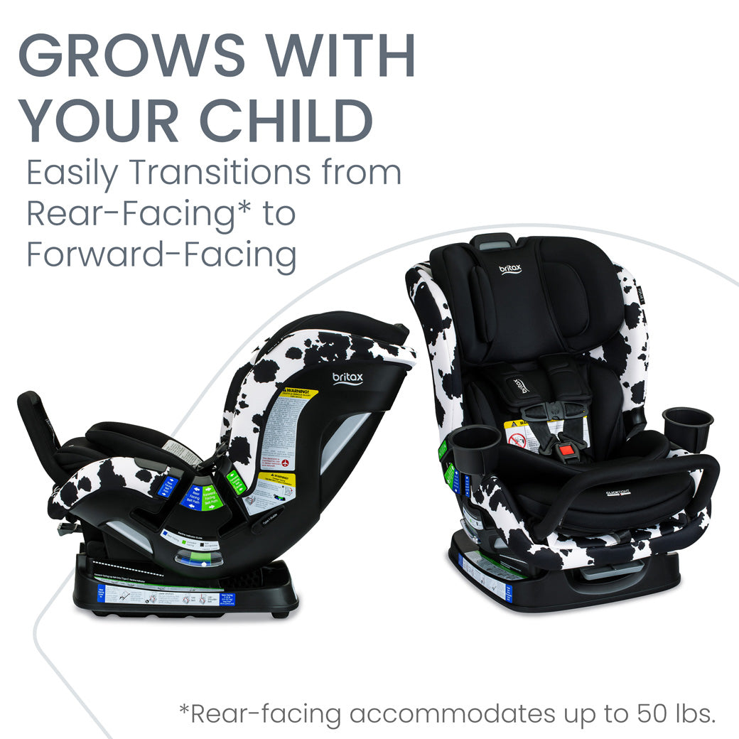 Poplar S Convertible Car Seat