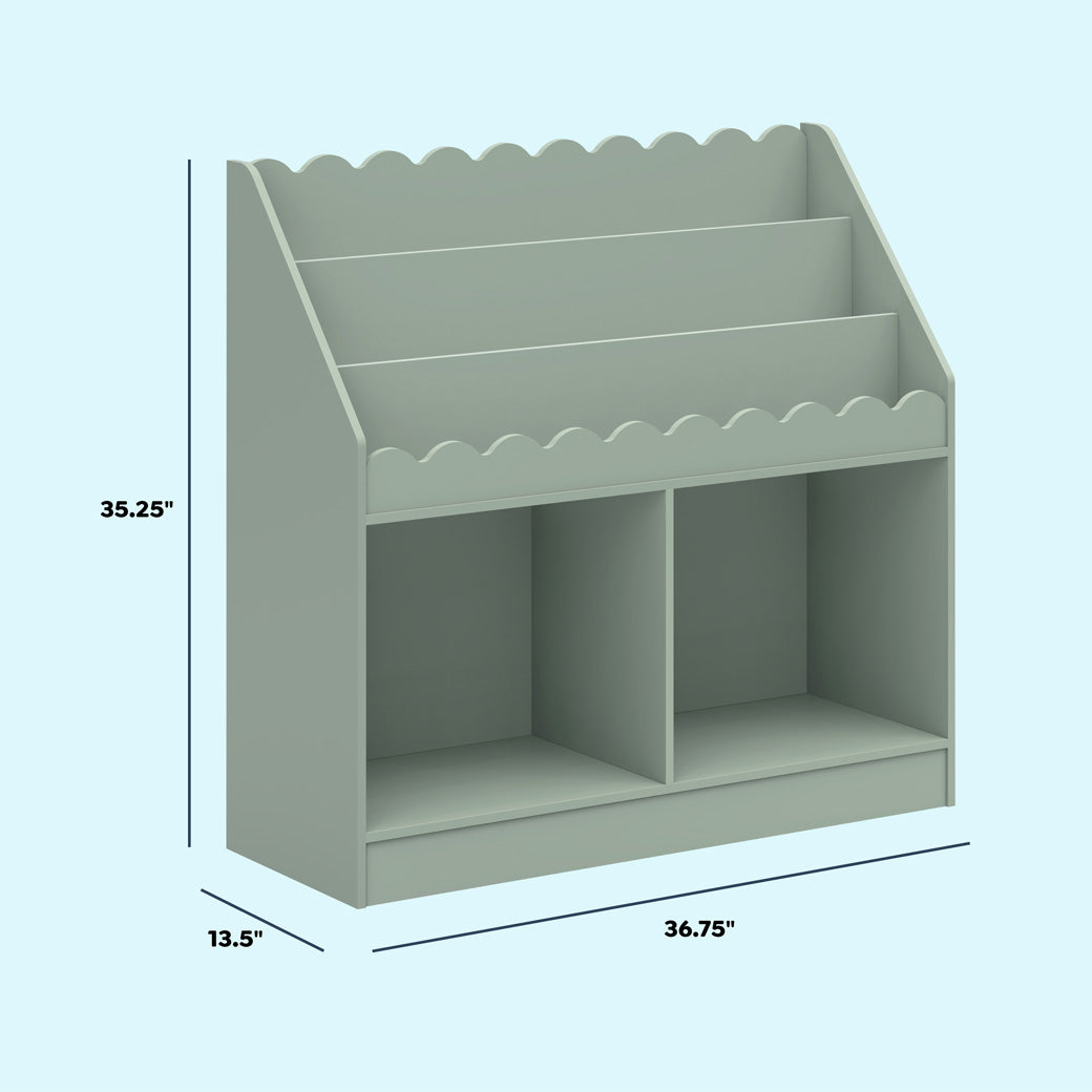 Sammy Scallop Bookcase