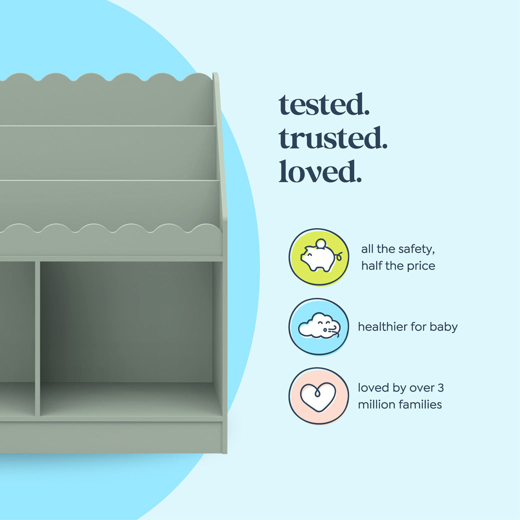 Sammy Scallop Bookcase