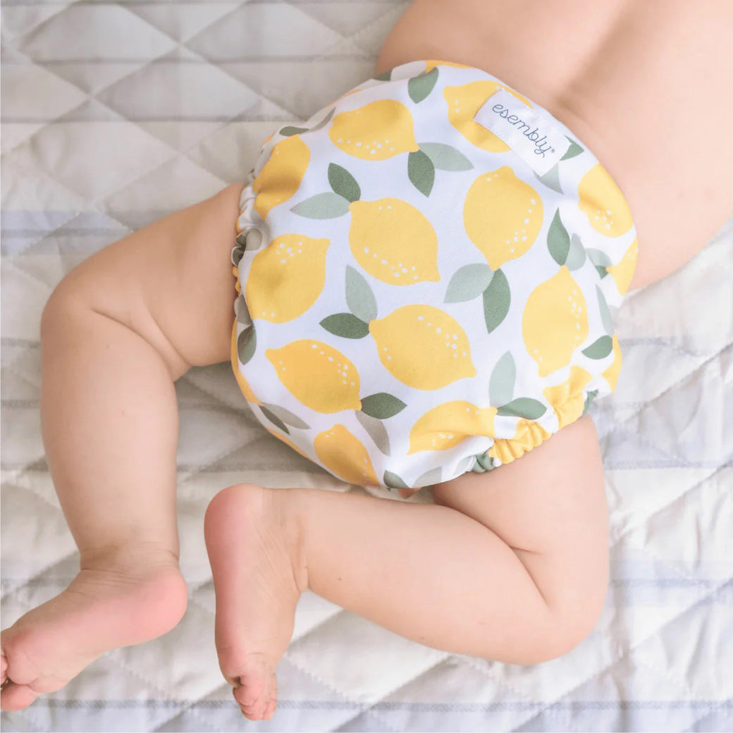 Diaper Inner Snap + Diaper Outer Bundle