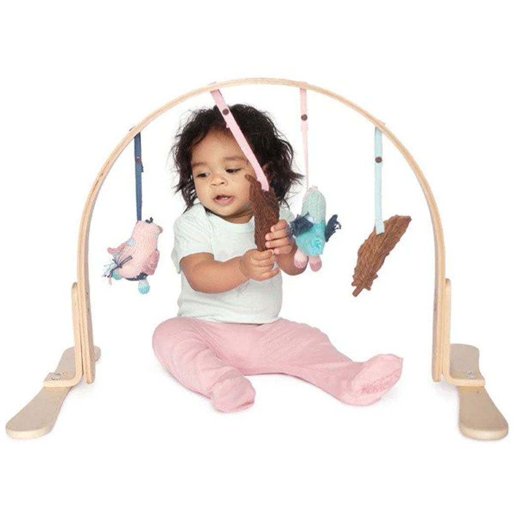 Play Gym + Macrame Swing Bundle