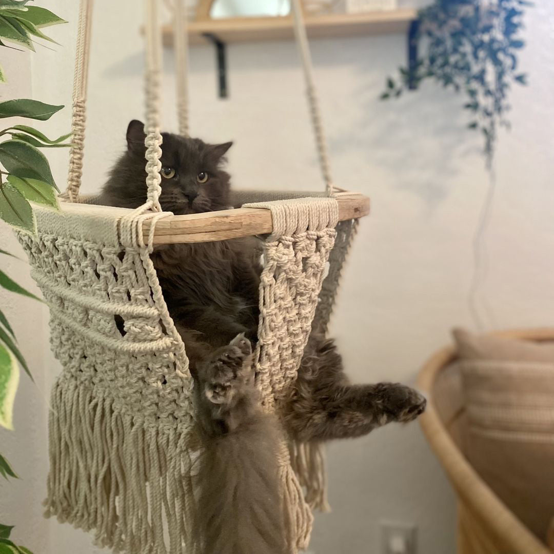 Play Gym + Macrame Swing Bundle