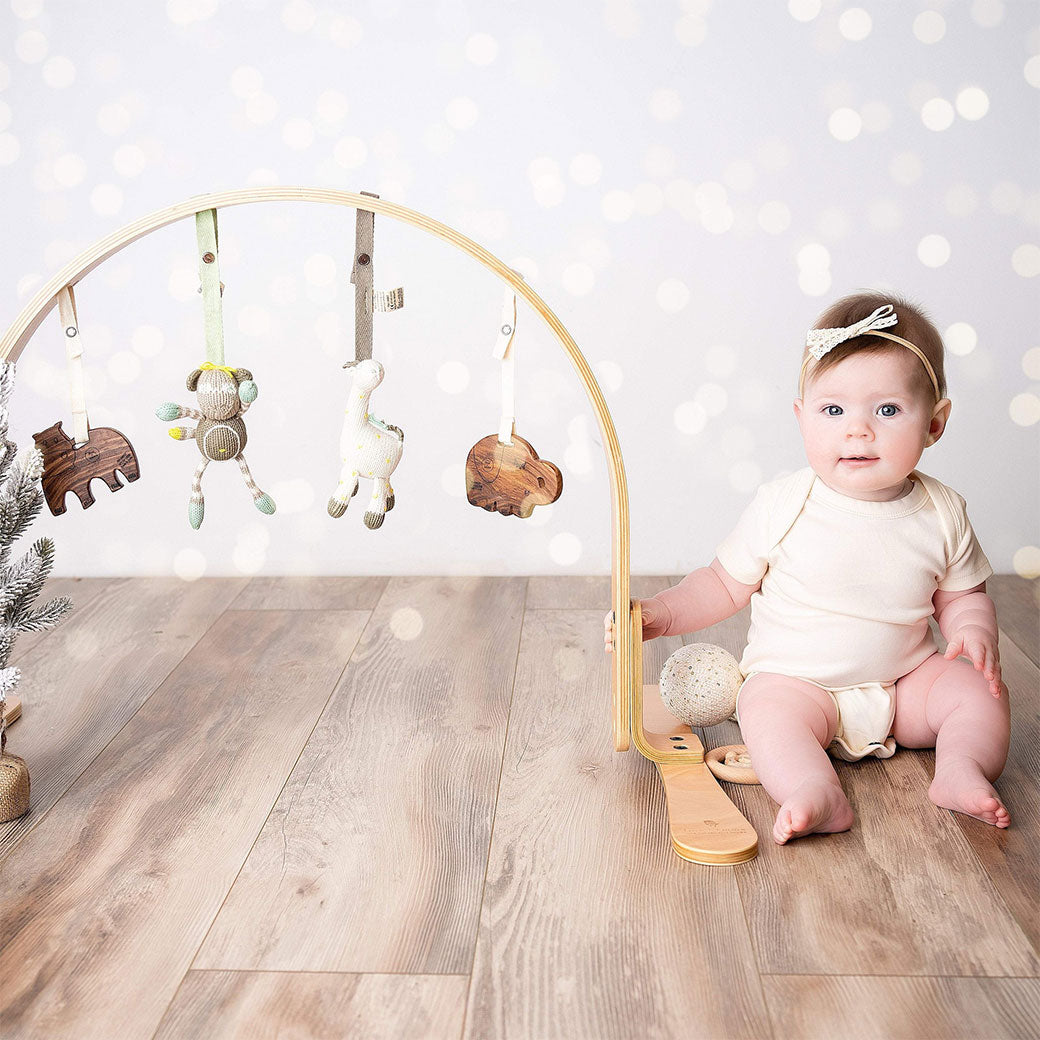 Play Gym + Macrame Swing Bundle