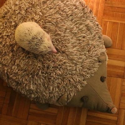 Hedgehog Floor Cushion