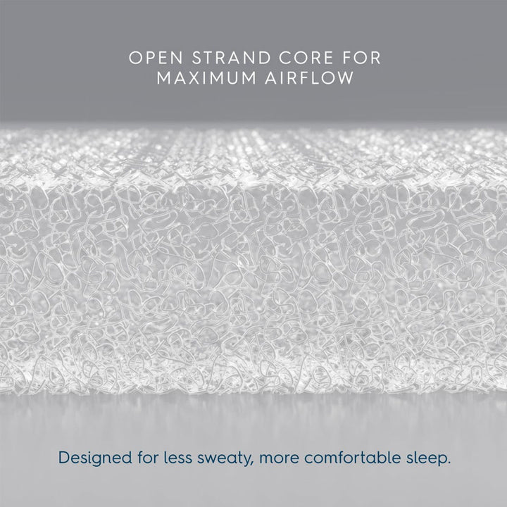 Luxe Next Gen Bassinest + FR-Free Mattress Bundle