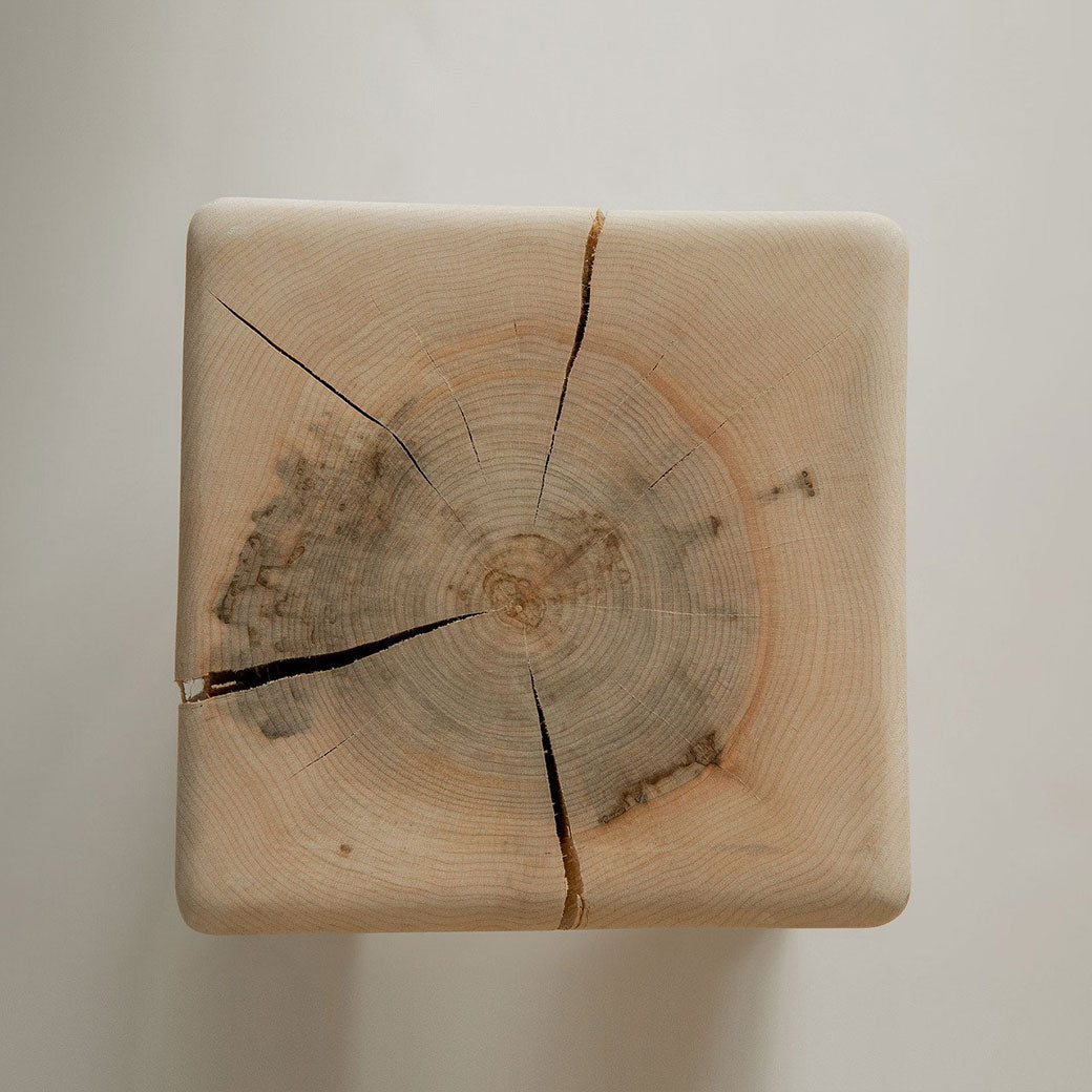 Top view of Kalon Stump