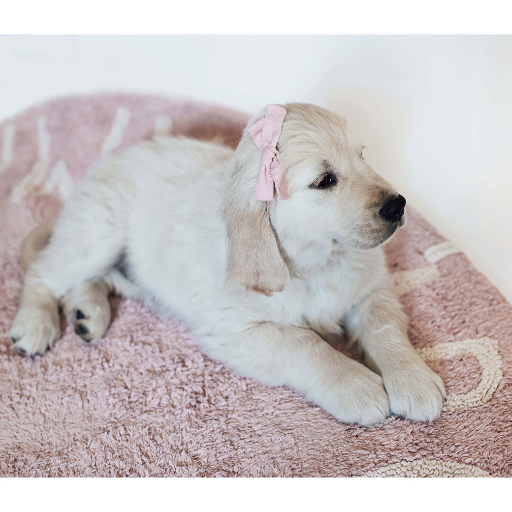ABC Round Washable Rug