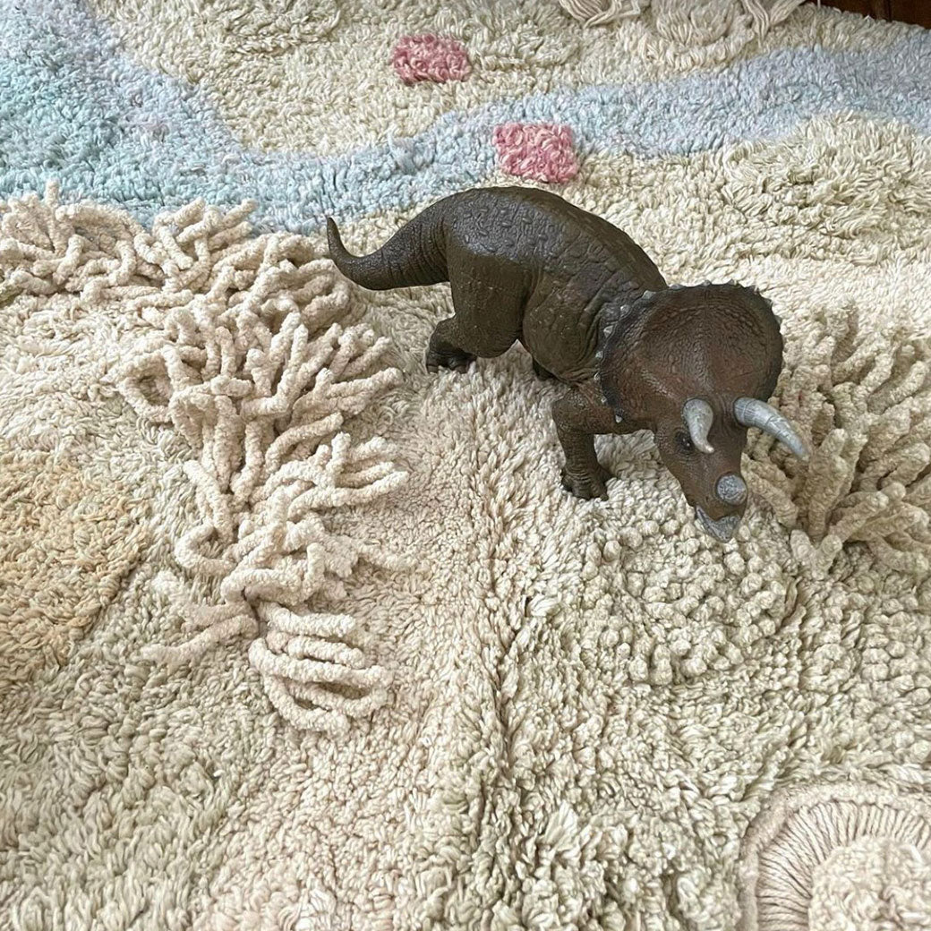 Path of Nature Washable Play Rug