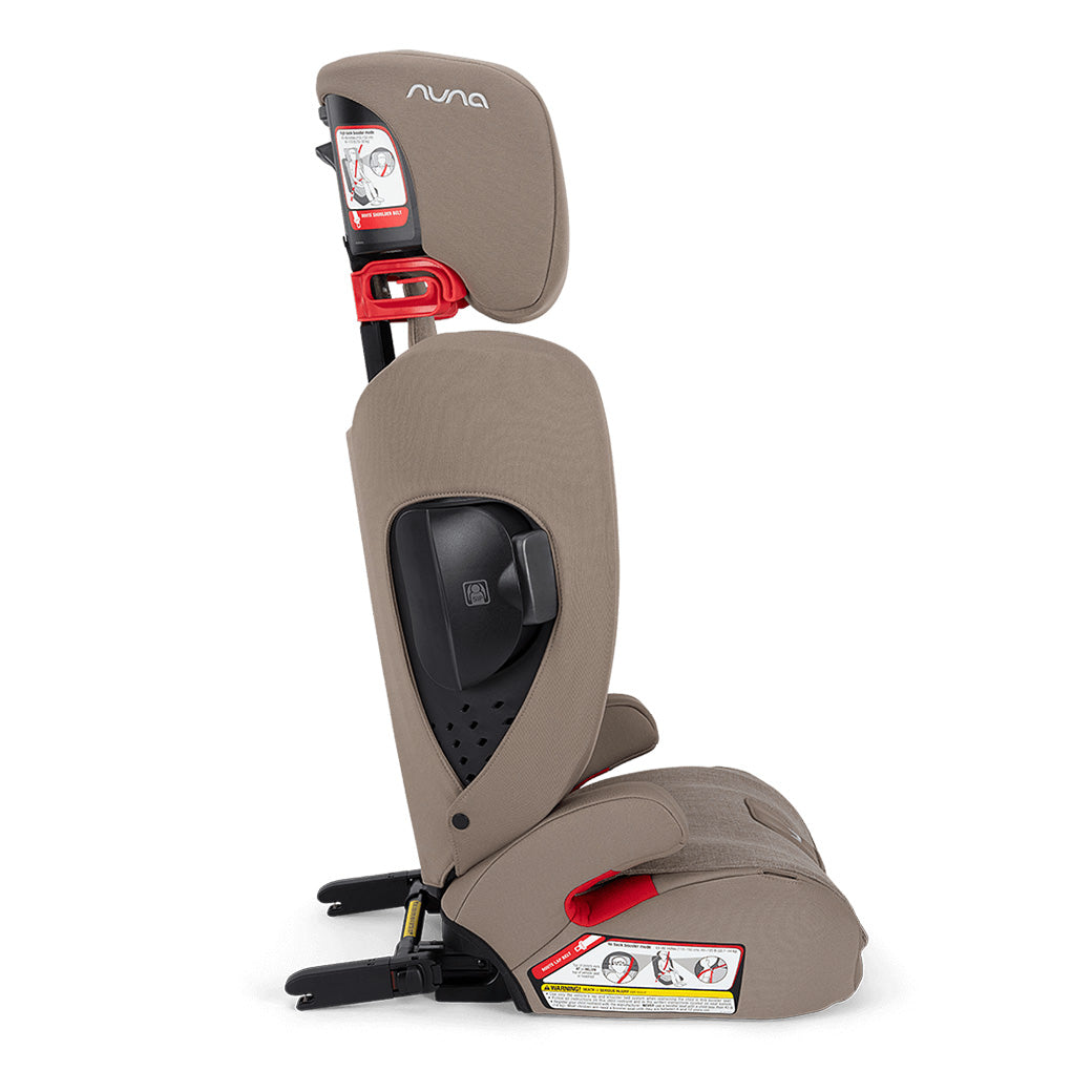 AACE Booster Seat