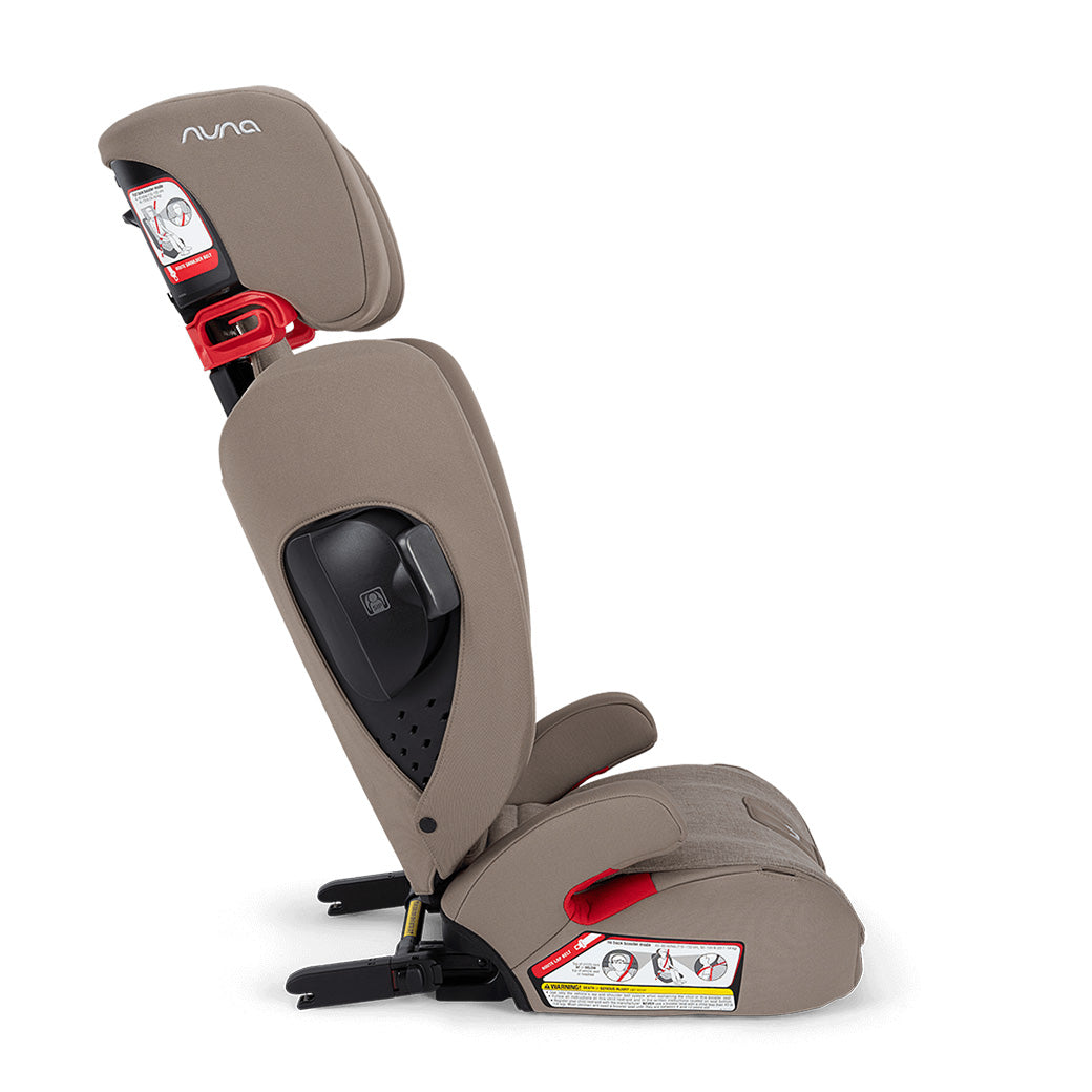 AACE Booster Seat