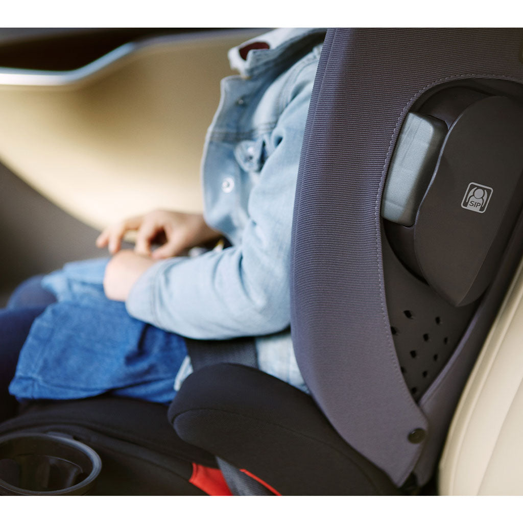 AACE Booster Seat