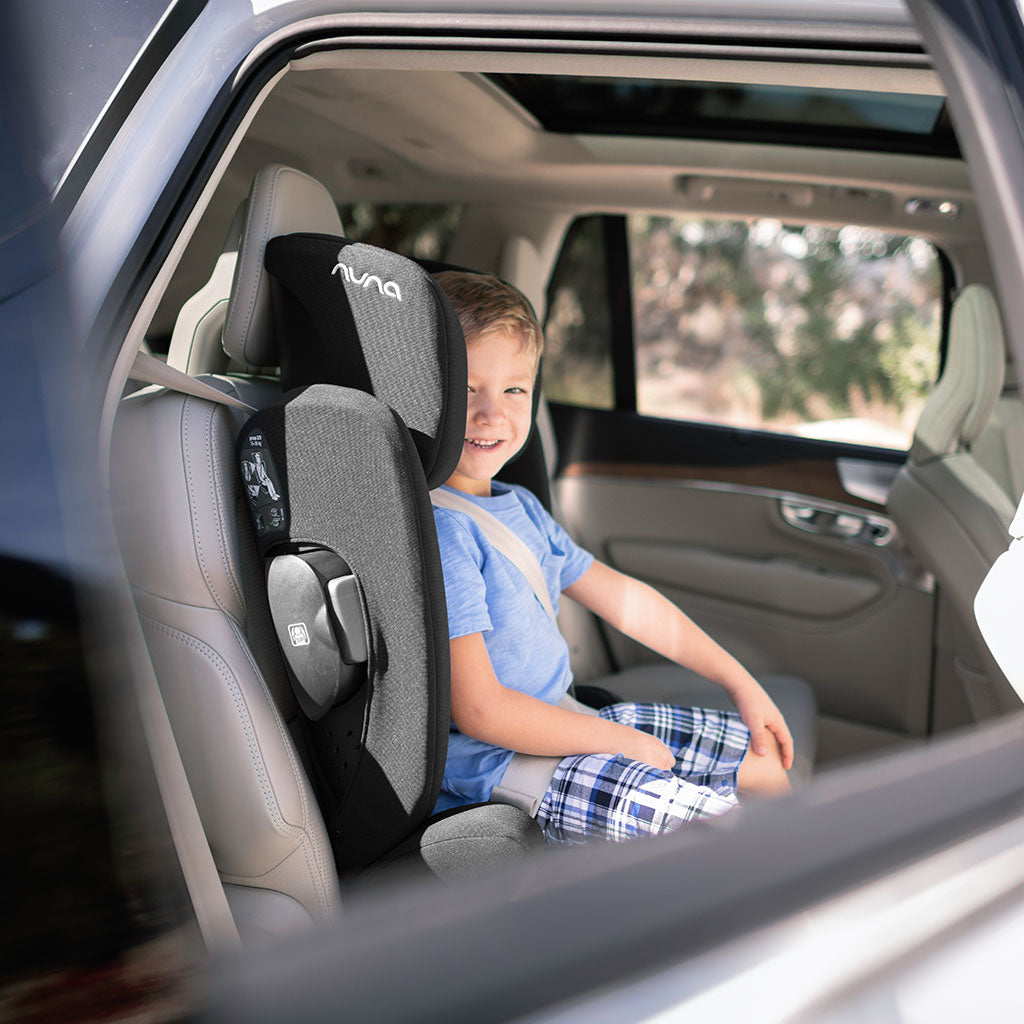 AACE Booster Seat