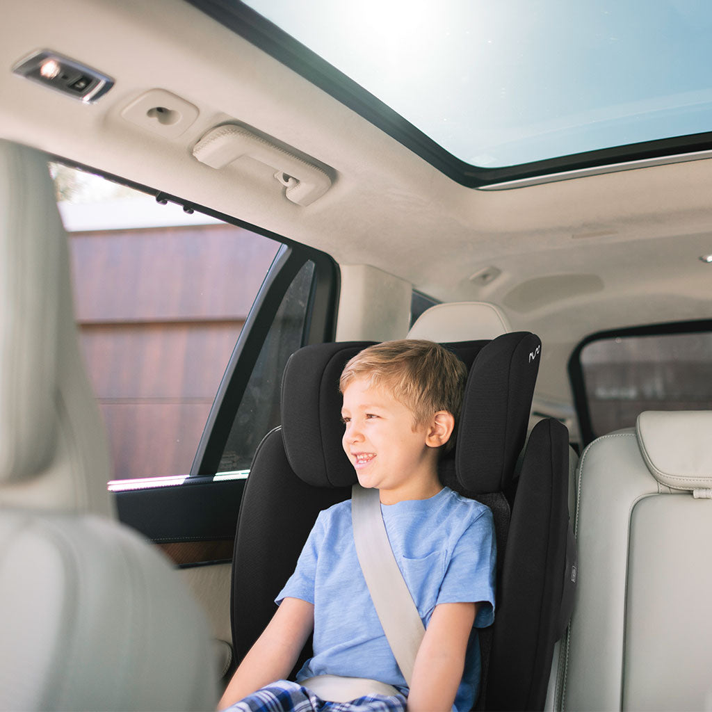 AACE Booster Seat