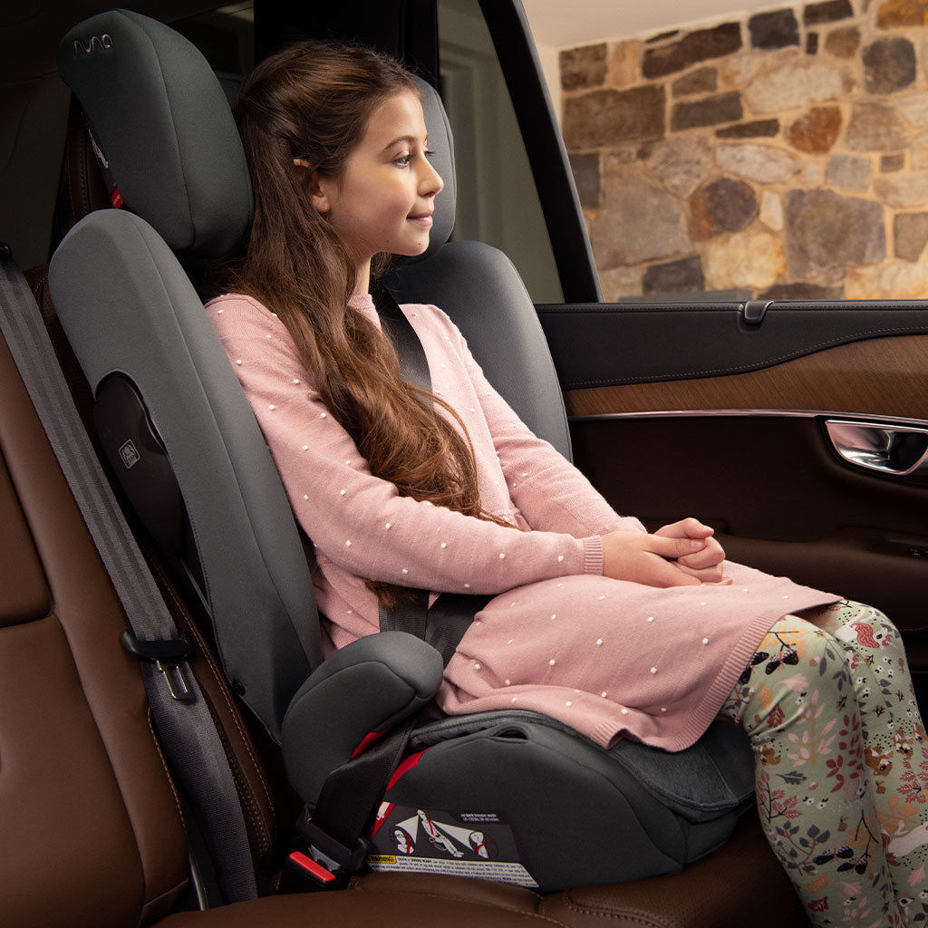 AACE Booster Seat