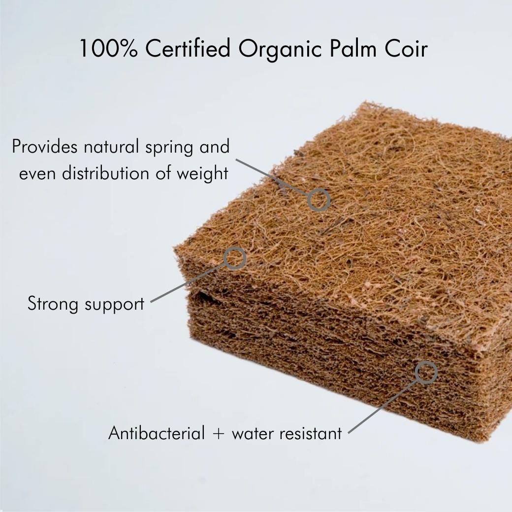 100% certified organic palm coir square with pointers -- Lifestyle