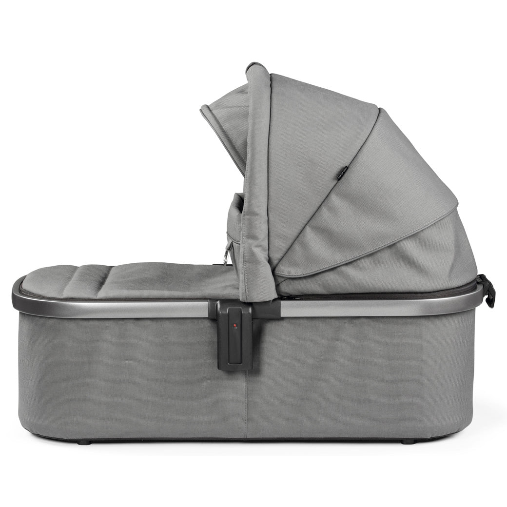 Bassinet With Home Stand