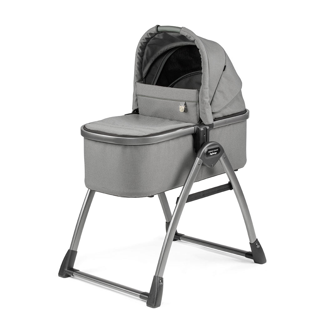 Bassinet With Home Stand
